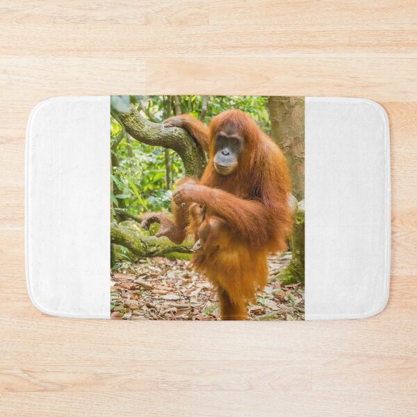 Item preview, An orangutan with her baby, sitting on a branch in Gungung Leuser National Park designed and sold by SnapTPhotograph.