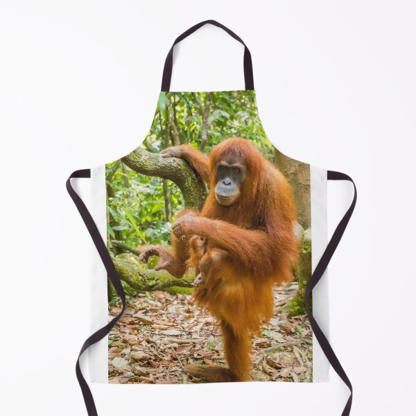 Item preview, An orangutan with her baby, sitting on a branch in Gungung Leuser National Park designed and sold by SnapTPhotograph.