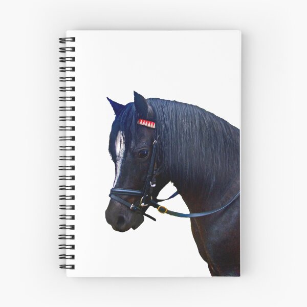 Item preview, Black Welsh Pony with bridle designed and sold by Mary Taylor.