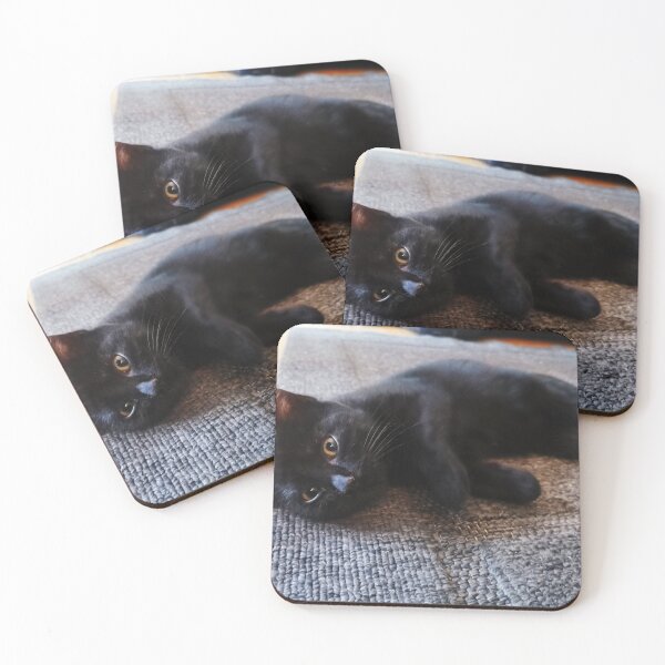Item preview, cute black cat designed and sold by OMdesigns93.