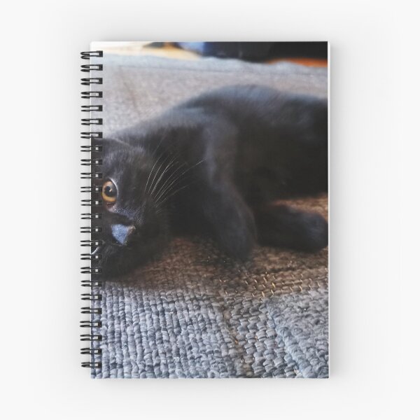 Item preview, cute black cat designed and sold by OMdesigns93.