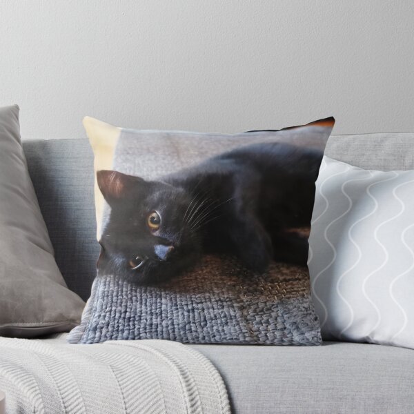 Item preview, cute black cat designed and sold by OMdesigns93.