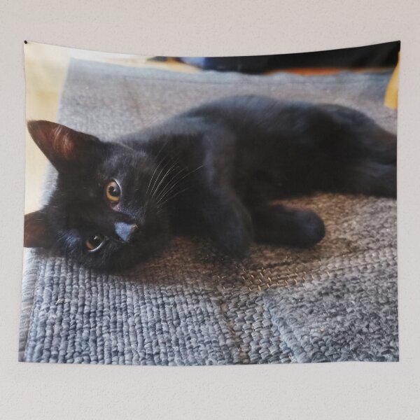 Item preview, cute black cat designed and sold by OMdesigns93.