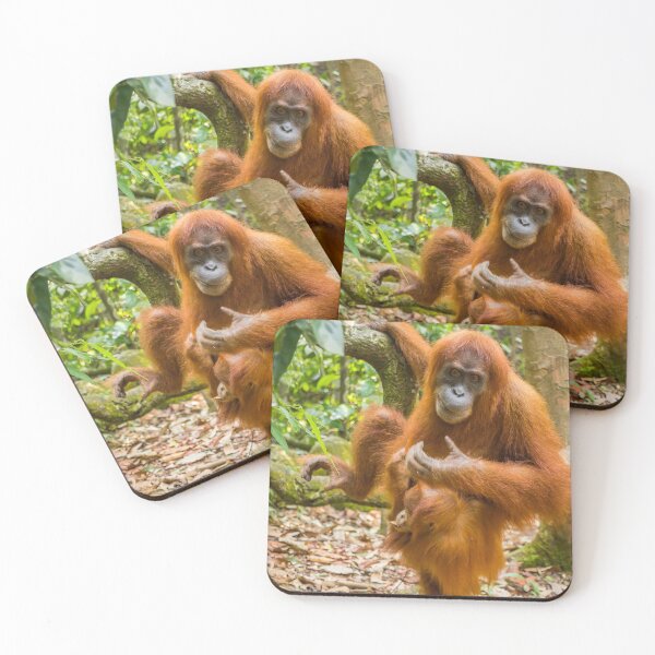Item preview, An orangutan with her baby, sitting on a branch in Gungung Leuser National Park designed and sold by SnapTPhotograph.
