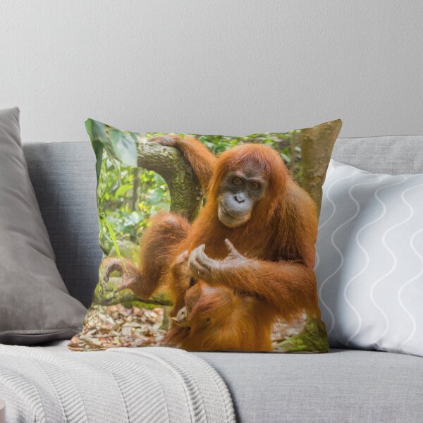Item preview, An orangutan with her baby, sitting on a branch in Gungung Leuser National Park designed and sold by SnapTPhotograph.