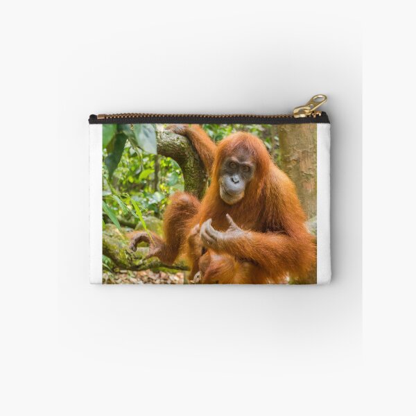 Item preview, An orangutan with her baby, sitting on a branch in Gungung Leuser National Park designed and sold by SnapTPhotograph.