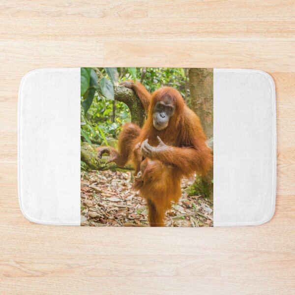 Item preview, An orangutan with her baby, sitting on a branch in Gungung Leuser National Park designed and sold by SnapTPhotograph.