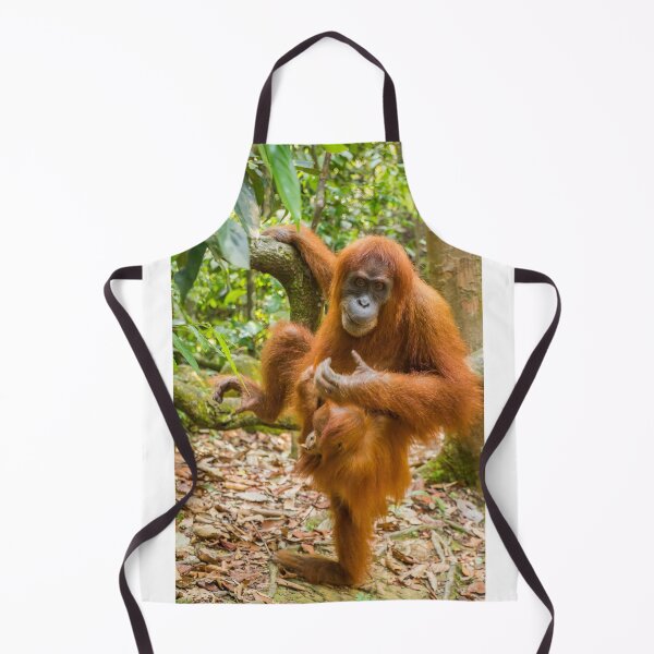 Item preview, An orangutan with her baby, sitting on a branch in Gungung Leuser National Park designed and sold by SnapTPhotograph.