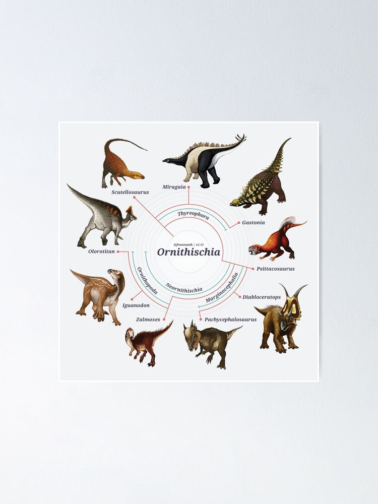 Alternate view of Ornithischia: The Cladogram Poster