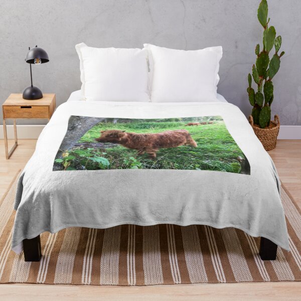 Item preview, Scottish Highland Cattle Calf 2076 designed and sold by SaarelaHighland.