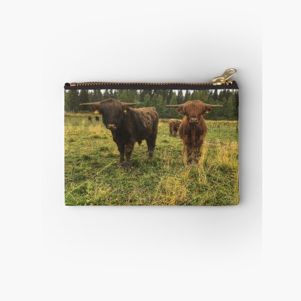 Item preview, Scottish Highland Cattle Bulls 2079 designed and sold by SaarelaHighland.