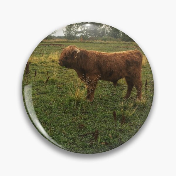 Item preview, Scottish Highland Cattle Bulls 2080 designed and sold by SaarelaHighland.