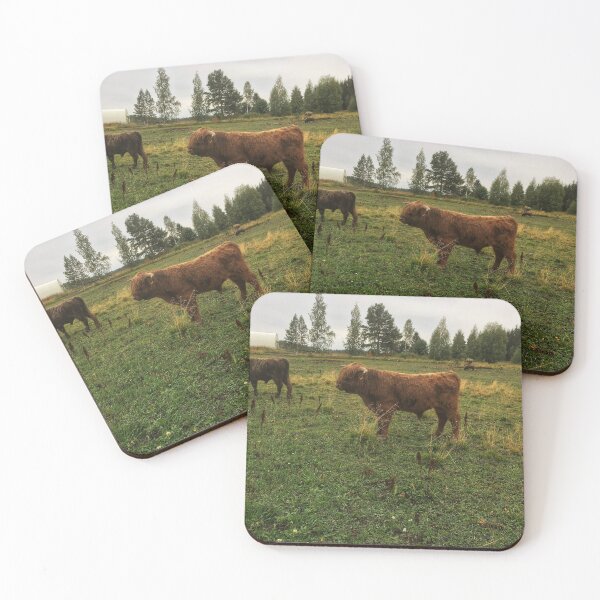 Item preview, Scottish Highland Cattle Bulls 2080 designed and sold by SaarelaHighland.