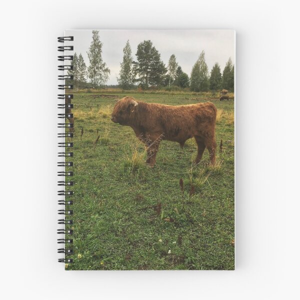 Item preview, Scottish Highland Cattle Bulls 2080 designed and sold by SaarelaHighland.