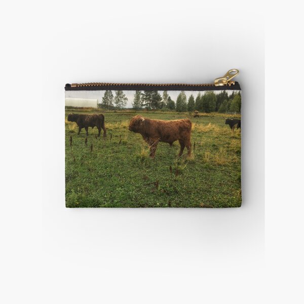 Item preview, Scottish Highland Cattle Bulls 2080 designed and sold by SaarelaHighland.