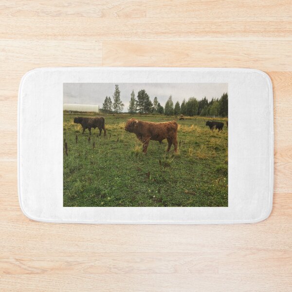 Item preview, Scottish Highland Cattle Bulls 2080 designed and sold by SaarelaHighland.