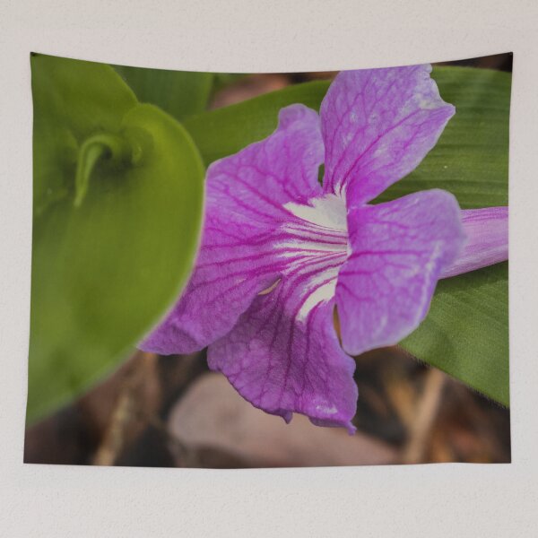 Item preview, Purple Cattleya orchid designed and sold by PBE-Store.