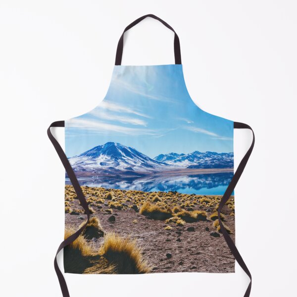 Item preview, Laguna Miñiques, San Pedro de Atacama Desert, Chile designed and sold by Carrie Lyman Photography.
