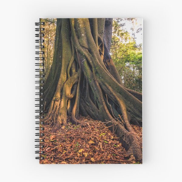 Item preview, Wingham Brush designed and sold by photorealm.