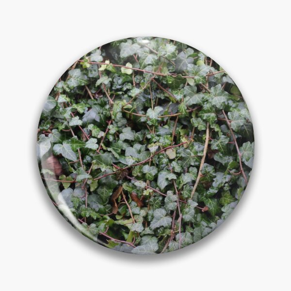 Item preview, Ivy tangles designed and sold by chihuahuashower.