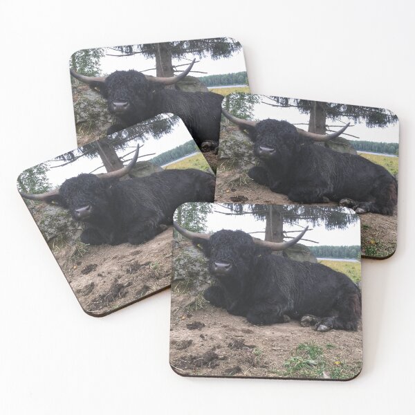 Item preview, Scottish Highland Cattle Calf 2084 designed and sold by SaarelaHighland.