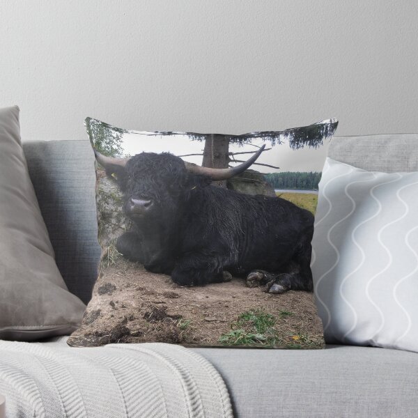 Item preview, Scottish Highland Cattle Calf 2084 designed and sold by SaarelaHighland.