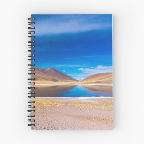 Item preview, Laguna Miscanti, San Pedro de Atacama Desert, Chile designed and sold by Carrie Lyman Photography.