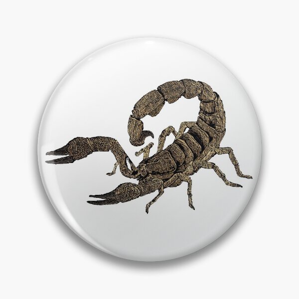 Item preview, scorpion vector illustration designed and sold by ranker666.