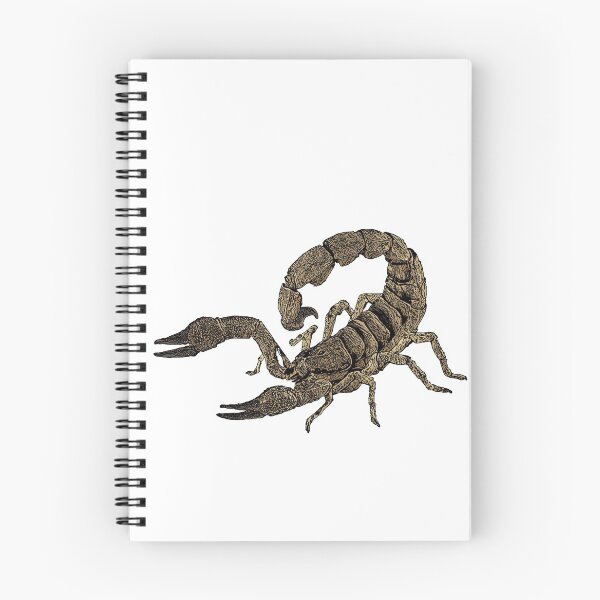 Item preview, scorpion vector illustration designed and sold by ranker666.