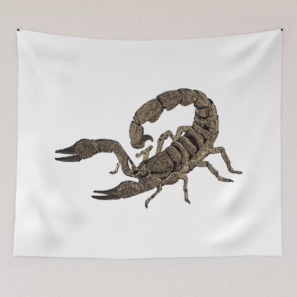 Item preview, scorpion vector illustration designed and sold by ranker666.