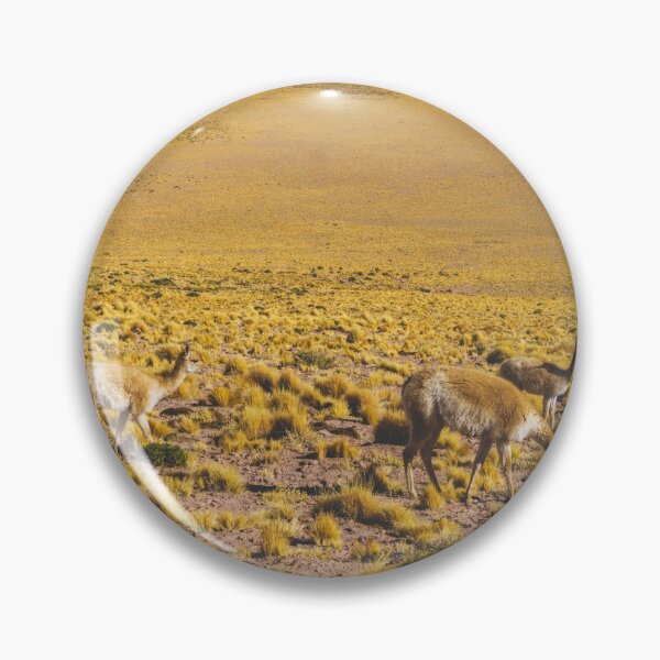 Item preview, Vicuñas in the Desert, San Pedro de Atacama, Chile designed and sold by Carrie Lyman Photography.