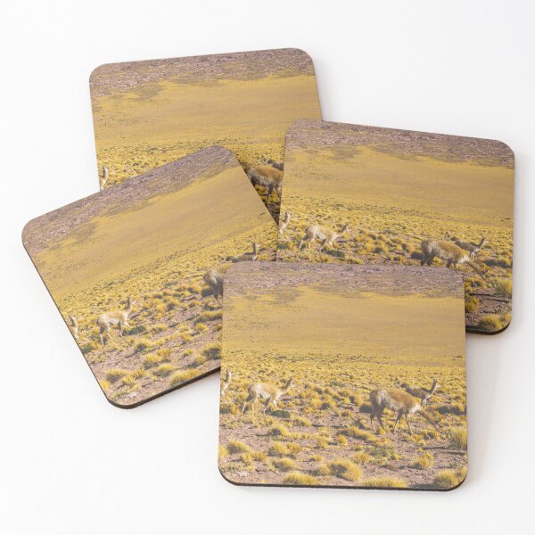Item preview, Vicuñas in the Desert, San Pedro de Atacama, Chile designed and sold by Carrie Lyman Photography.