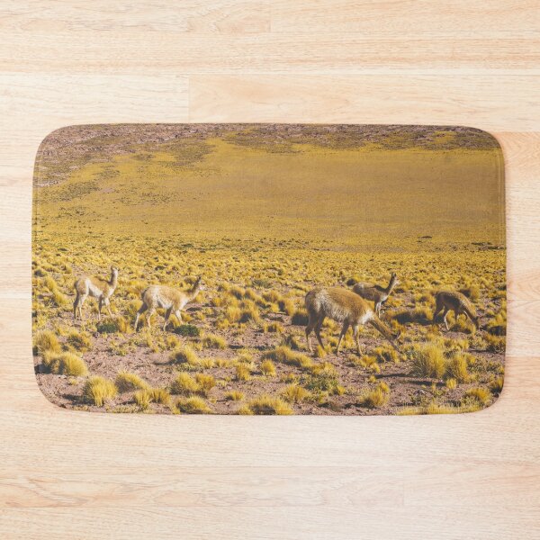 Item preview, Vicuñas in the Desert, San Pedro de Atacama, Chile designed and sold by Carrie Lyman Photography.