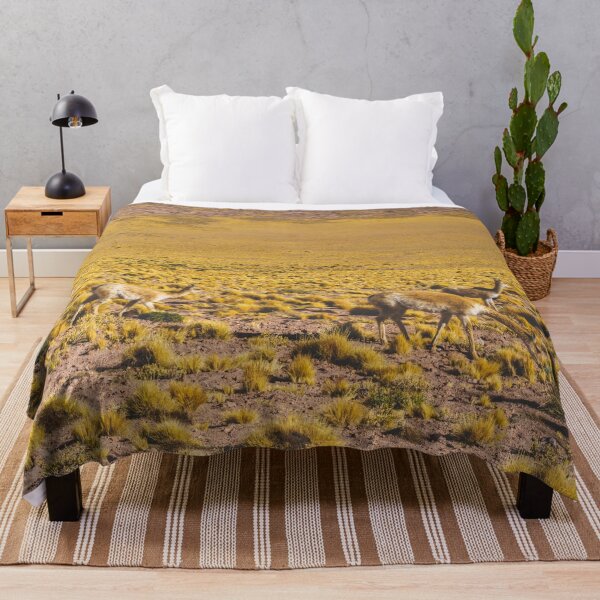 Item preview, Vicuñas in the Desert, San Pedro de Atacama, Chile designed and sold by Carrie Lyman Photography.