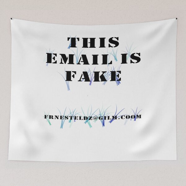 Item preview, This Email Is Fake, Unisex T-shirts, Gmail Tshirt, Fynny ,frnesteldz@gilm.coom designed and sold by paullama.