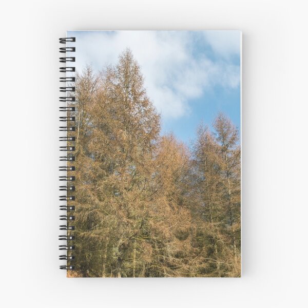 Item preview, The Edge of the Forest, Blaencwm designed and sold by Cameranick.