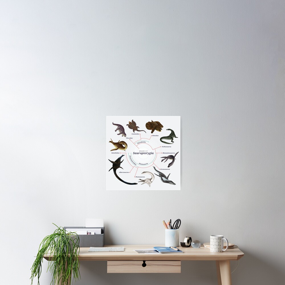 Sauropterygia: The Cladogram Poster