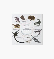 Sauropterygia: The Cladogram Art Board