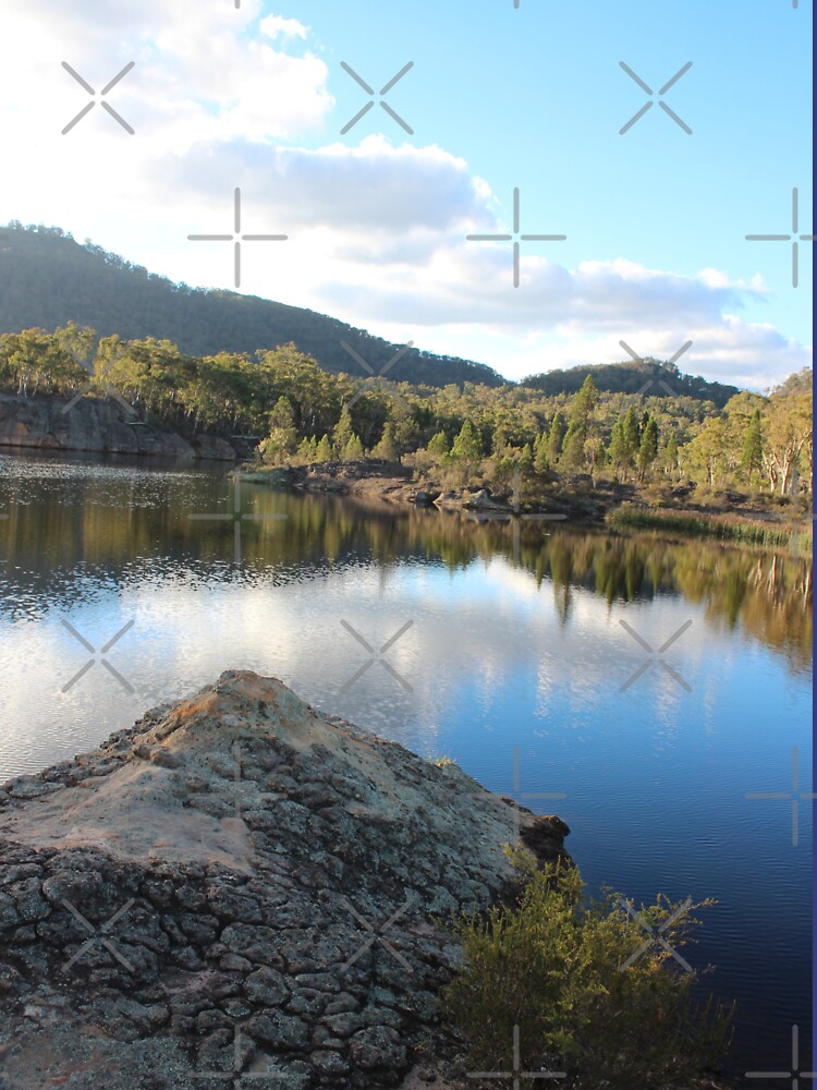 Platypus Point Dunn's Swamp NSW by KazM