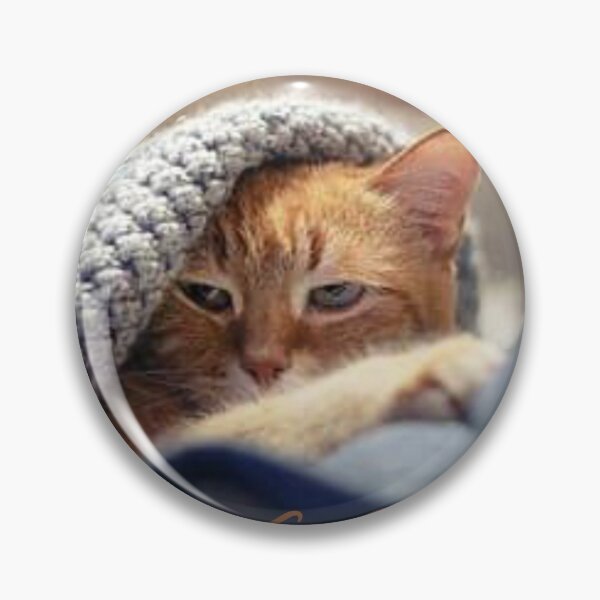 Item preview, Cat picture. designed and sold by balajj.