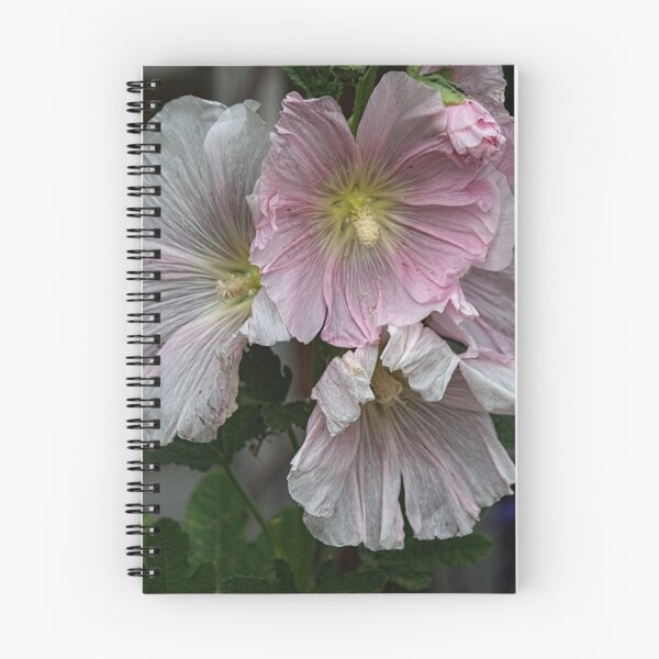 Item preview, Pale flowers Leith Park Victoria 20151206 6435   designed and sold by Fred Mitchell.