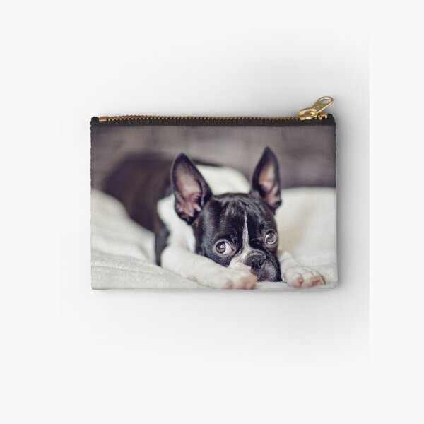 Item preview, Fina the Boston Terrier Puppy designed and sold by Nailia Schwarz.
