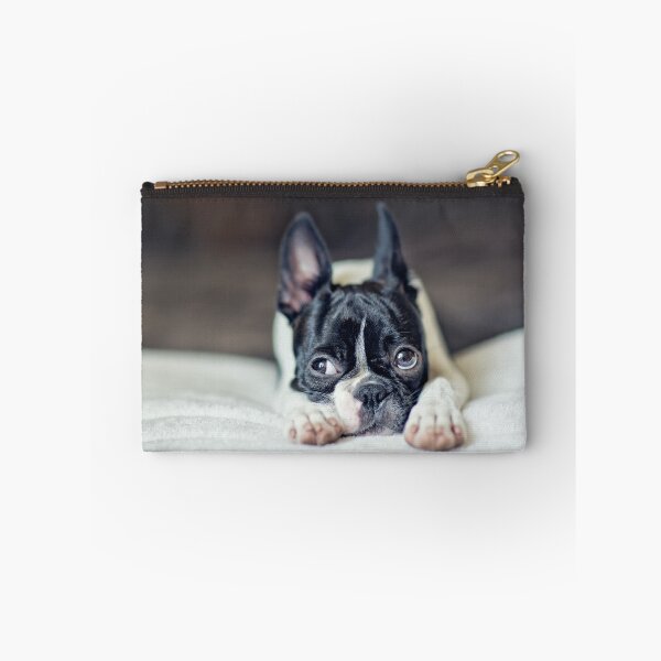 Item preview, Fina the Boston Terrier Puppy designed and sold by Nailia Schwarz.