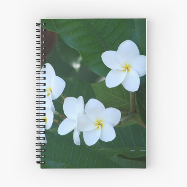 Item preview, Tahitian white flower designed and sold by fluidstack.