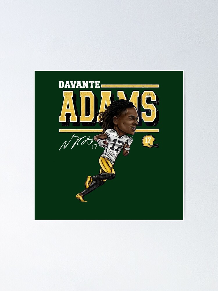 Davante Adams Green Bay Packers #17 Embroidered Home Jersey - clothing &  accessories - by owner - apparel sale 