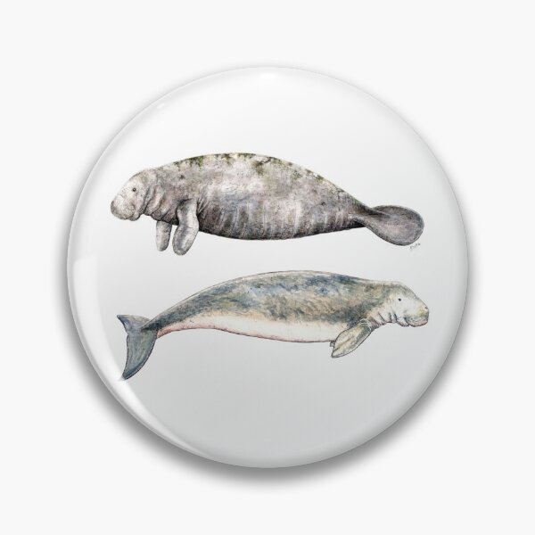 Item preview, Sea cows: Manatee and Dugong designed and sold by chloeyzoard.