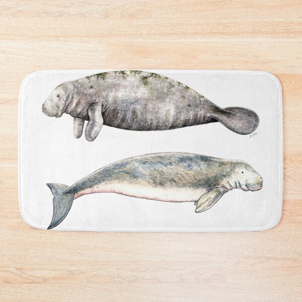 Item preview, Sea cows: Manatee and Dugong designed and sold by chloeyzoard.