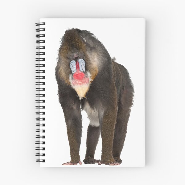 Item preview, Mandrill designed and sold by DoodleDashCollective.