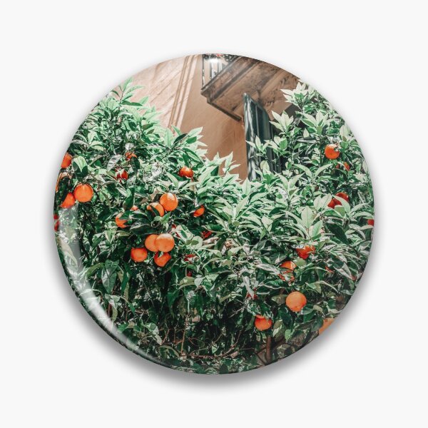 Artikelvorschau, Orange Obstbaumdruck, Barcelona City Print, Orangen Obst Kunstdruck, Stadtfotografie, Sommerreise Tropischer Druck entworfen und verkauft von radub85.