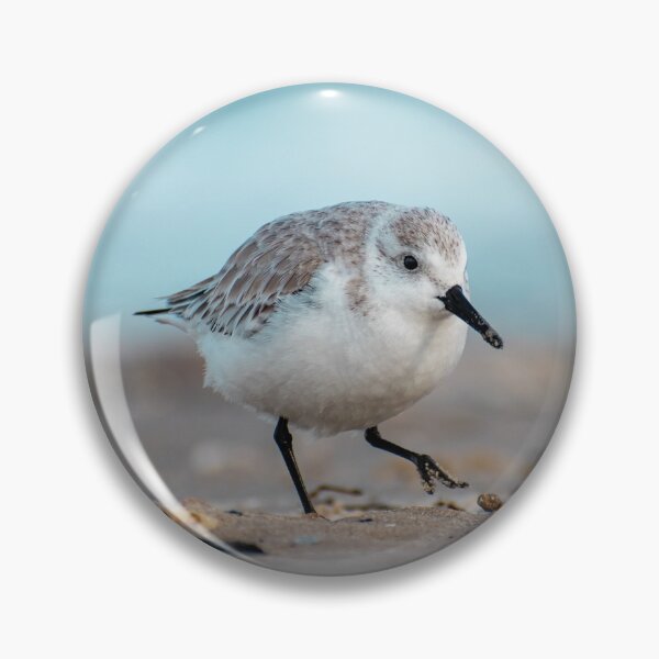 Item preview, Sandpiper playing in the sand  designed and sold by BowToe.